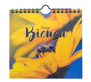 Emsige Bienen (Mini-Wandkalender / Postkartenkalender 2019) Bienenkalender von Näbrig,  Daniel
