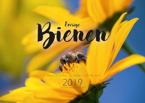 Emsige Bienen (Wandkalender 2019 DIN A3 quer) Bienenkalender von Näbrig,  Daniel