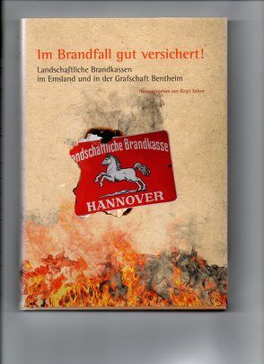 Emsland /Bentheim. Beiträge zur neueren Geschichte / Bd. 22 Im Brandfall gut versichert! von Kehne,  Birgit