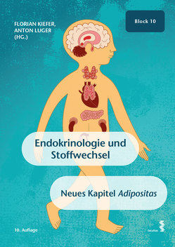Endokrinologie und Stoffwechsel von Kiefer,  Florian, Luger,  Anton