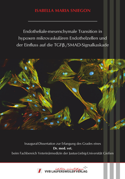 Endotheliale-mesenchymale Transition in hypoxen mikrovaskulären Endothelzellen und der Einfluss auf die TGFβ1/SMAD-Signalkaskade von Sniegon,  Isabella Maria