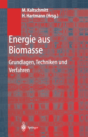 Energie aus Biomasse von Hartmann,  Hans, Hofbauer,  Hermann, Kaltschmitt,  Martin