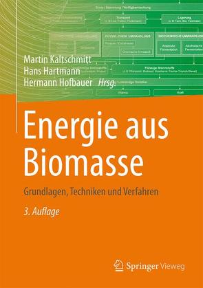Energie aus Biomasse von Hartmann,  Hans, Hofbauer,  Hermann, Kaltschmitt,  Martin