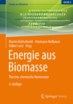 Energie aus Biomasse von Hofbauer,  Hermann, Kaltschmitt,  Martin, Lenz,  Volker