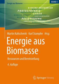 Energie aus Biomasse von Kaltschmitt,  Martin, Stampfer,  Karl