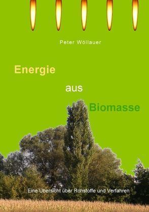 Energie aus Biomasse von Wöllauer,  Peter