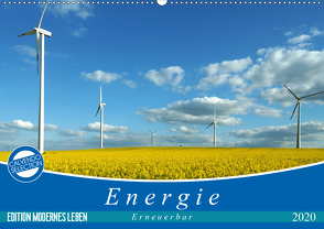 Energie – erneuerbar – Biomasse (Wandkalender 2020 DIN A2 quer) von Flori0