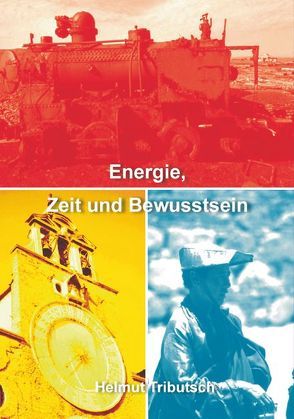 Energie, Zeit und Bewusstsein von Tributsch,  Helmut