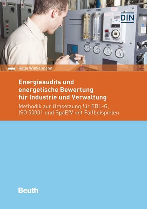 Energieaudits und energetische Bewertung für Industrie und Verwaltung von Winkelmann,  Katja