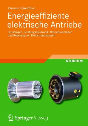 Energieeffiziente elektrische Antriebe von Teigelkötter,  Johannes