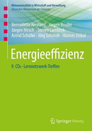 Energieeffizienz von Bruder,  Jürgen, Hirsch,  Jürgen, Lambeck,  Steven, Schmidt,  Jörg, Schülke,  Astrid, Utikal,  Hannes, Weyland,  Bernadette