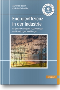Energieeffizienz in der Industrie von Sauer,  Alexander, Schneider,  Christian
