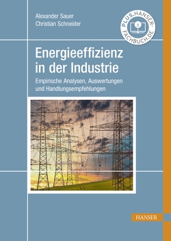 Energieeffizienz in der Industrie von Sauer,  Alexander, Schneider,  Christian