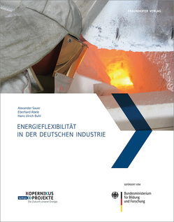 Energieflexibilität in der deutschen Industrie. von Abele,  Eberhard, Buhl,  Hans Ulrich, Sauer,  Alexander