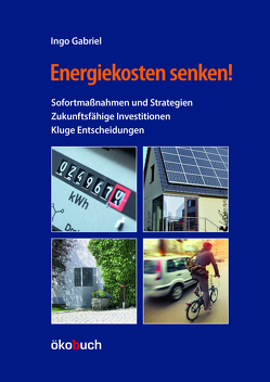 Energiekosten senken! von Gabriel,  Ingo