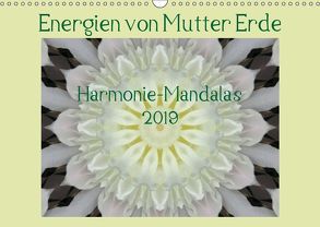 Energien von Mutter Erde (Wandkalender 2019 DIN A3 quer) von Wiermann,  JonaMo