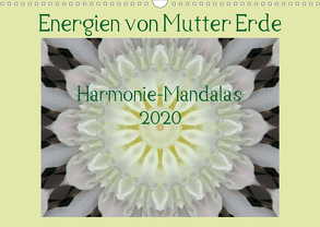 Energien von Mutter Erde (Wandkalender 2020 DIN A3 quer) von Wiermann,  JonaMo