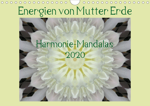 Energien von Mutter Erde (Wandkalender 2020 DIN A4 quer) von Wiermann,  JonaMo