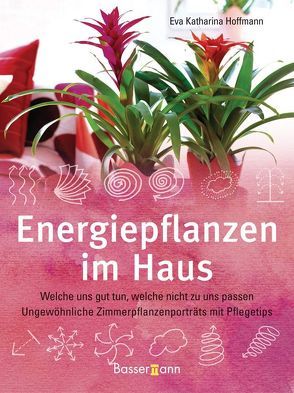 Energiepflanzen im Haus von Hoffmann,  Eva Katharina