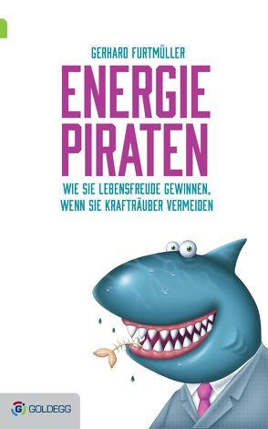Energiepiraten von Furtmüller,  Gerhard