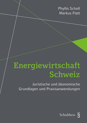 Energiewirtschaft Schweiz (PrintPlu§) von Flatt,  Markus, Scholl,  Phyllis