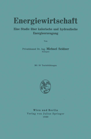 Energiewirtschaft von Seidner,  Michael