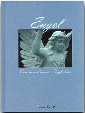 Engel – Von himmlischen Begleitern von Herzig,  Horst, Herzig,  Tina