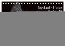 Engel auf 4 Pfoten – Ragdolls 2024 (Tischkalender 2024 DIN A5 quer), CALVENDO Monatskalender von Reiß-Seibert,  Marion