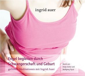 Engel begleiten durch Schwangerschaft und Geburt von Auer,  Ingrid, Eicher,  Andy, Tejral,  Wolfgang