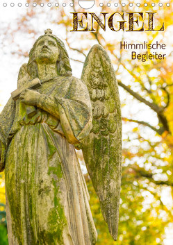 Engel – Himmlische Begleiter (Wandkalender 2023 DIN A4 hoch) von Vahldiek,  Carola