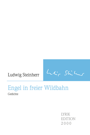 Engel in freier Wildbahn von Steinherr,  Ludwig