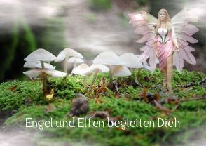Engel und Elfen begleiten Dich (Posterbuch DIN A2 quer) von Hubner,  Katharina