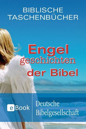 Engelgeschichten der Bibel von Herrlinger,  Christiane