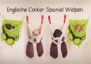 Englische Cocker Spaniel Welpen (Tischkalender 2019 DIN A5 quer) von Wobith Photography - FotosVonMaja,  Sabrina