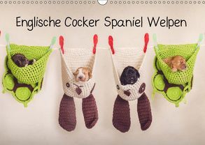 Englische Cocker Spaniel Welpen (Wandkalender 2019 DIN A3 quer) von Wobith Photography - FotosVonMaja,  Sabrina