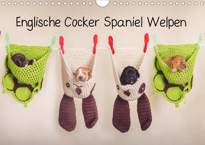 Englische Cocker Spaniel Welpen (Wandkalender 2020 DIN A4 quer) von Wobith Photography - FotosVonMaja,  Sabrina