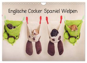 Englische Cocker Spaniel Welpen (Wandkalender 2024 DIN A4 quer), CALVENDO Monatskalender von Wobith Photography - FotosVonMaja,  Sabrina