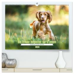 Englischer Cocker Spaniel (hochwertiger Premium Wandkalender 2024 DIN A2 quer), Kunstdruck in Hochglanz von Wobith Photography,  Sabrina