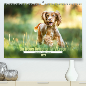 Englischer Cocker Spaniel (Premium, hochwertiger DIN A2 Wandkalender 2023, Kunstdruck in Hochglanz) von Wobith Photography,  Sabrina