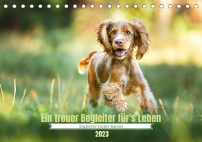 Englischer Cocker Spaniel (Tischkalender 2023 DIN A5 quer) von Wobith Photography,  Sabrina