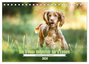 Englischer Cocker Spaniel (Tischkalender 2024 DIN A5 quer), CALVENDO Monatskalender von Wobith Photography,  Sabrina