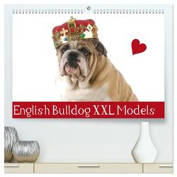 English Bulldog XXL Models (hochwertiger Premium Wandkalender 2024 DIN A2 quer), Kunstdruck in Hochglanz von Stanzer,  Elisabeth
