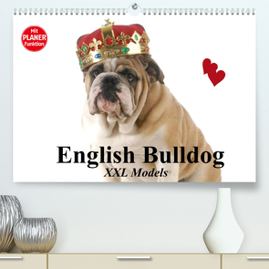 English Bulldog XXL Models (Premium, hochwertiger DIN A2 Wandkalender 2022, Kunstdruck in Hochglanz) von Stanzer,  Elisabeth