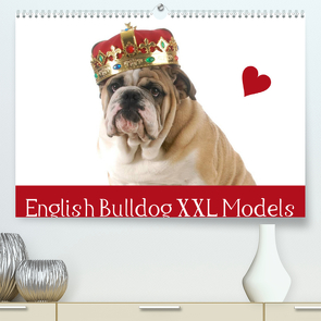 English Bulldog XXL Models (Premium, hochwertiger DIN A2 Wandkalender 2022, Kunstdruck in Hochglanz) von Stanzer,  Elisabeth