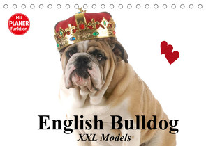 English Bulldog XXL Models (Tischkalender 2022 DIN A5 quer) von Stanzer,  Elisabeth