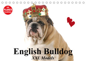 English Bulldog XXL Models (Tischkalender 2023 DIN A5 quer) von Stanzer,  Elisabeth