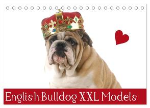 English Bulldog XXL Models (Tischkalender 2024 DIN A5 quer), CALVENDO Monatskalender von Stanzer,  Elisabeth