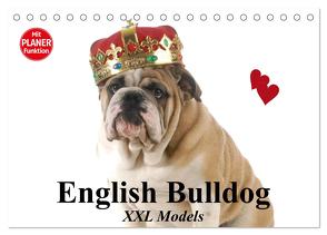 English Bulldog XXL Models (Tischkalender 2024 DIN A5 quer), CALVENDO Monatskalender von Stanzer,  Elisabeth
