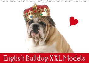 English Bulldog XXL Models (Wandkalender 2019 DIN A4 quer) von Stanzer,  Elisabeth