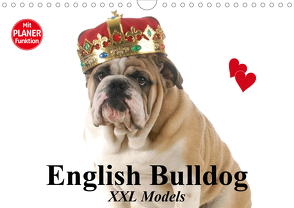 English Bulldog XXL Models (Wandkalender 2021 DIN A4 quer) von Stanzer,  Elisabeth